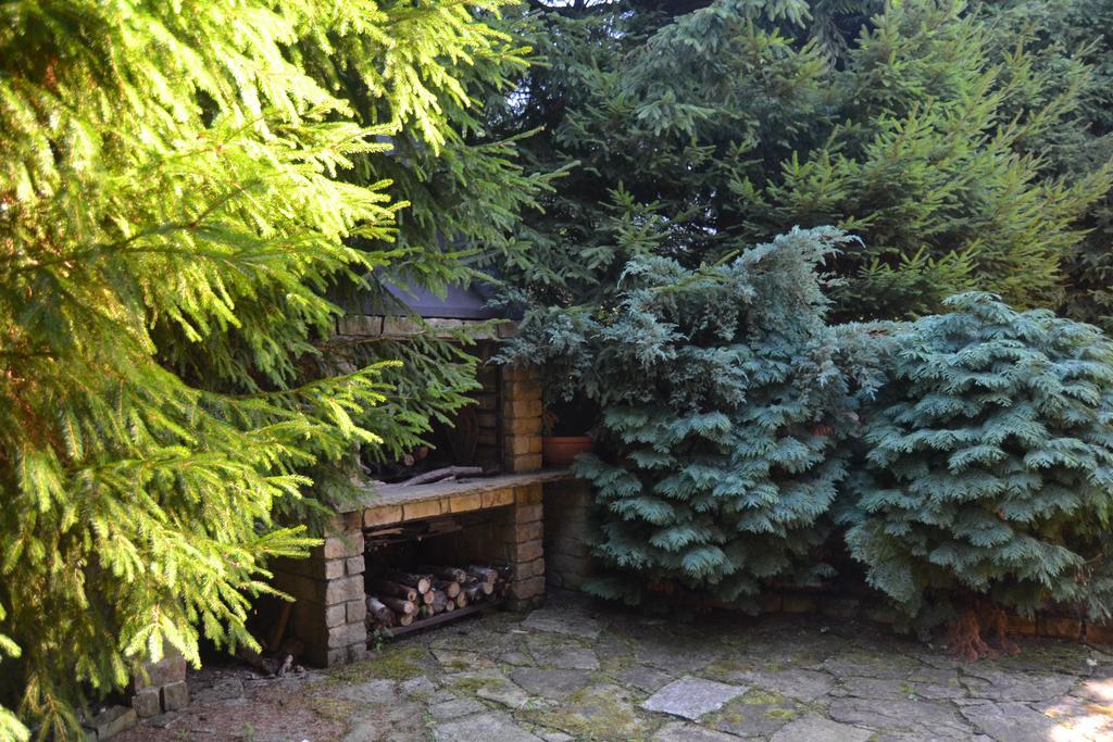 Chata Dolce Trutnov Habitación foto